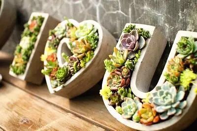 �Aͤ�(zh��n)�F(tu��n)ί(li��n)���Ϻ������y�T�S�_չ΢���^�GֲDIY��ӣ��D1��