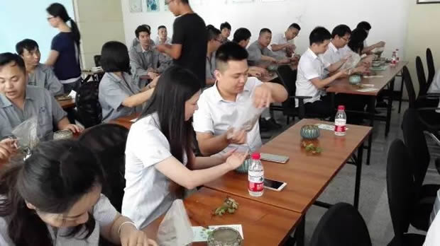 �Aͤ�(zh��n)�F(tu��n)ί(li��n)���Ϻ������y�T�S�_չ΢���^�GֲDIY��ӣ��D7��