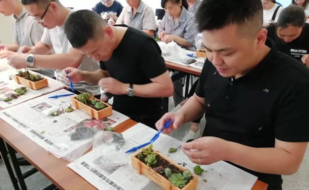 �����y�T�Gɫ��(chu��ng)��DIY��ӣ��D2��